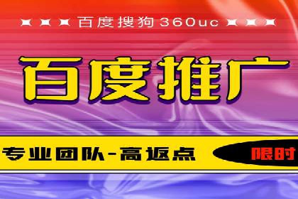 实战派经验分享：百度竞价代理成功案例揭秘